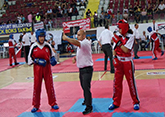 low-kick